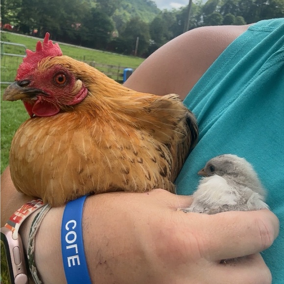 Meet your Posher, Mandi - Picture 16 of 16